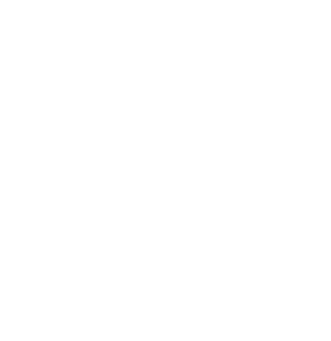 C Spire Burst Icon