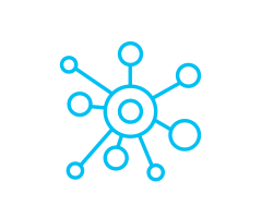 Network Icon