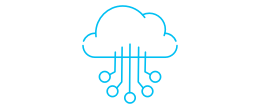 Network Icon