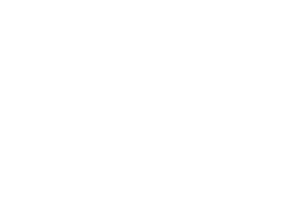 Cisco Partner Gold Integrator